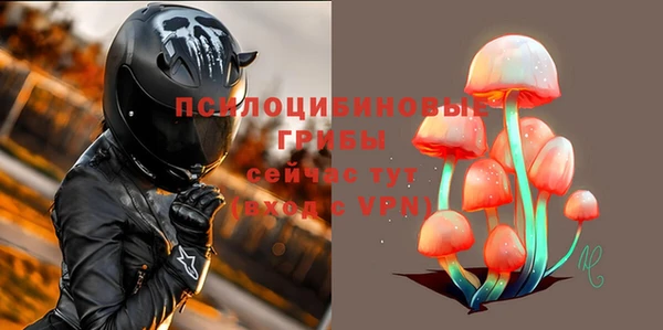 ALPHA PVP Верея