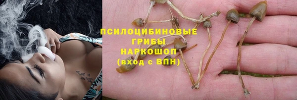 ALPHA PVP Верея