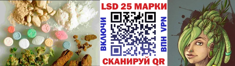 Купить закладки  Злынка  ЛСД экстази кислота 