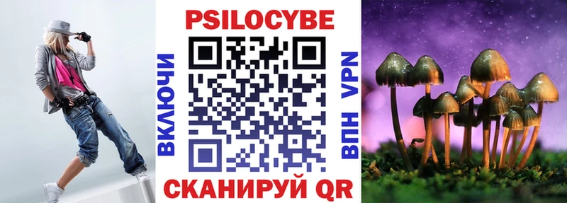 Купить где  Злынка  Галлюциногенные грибы Cubensis 