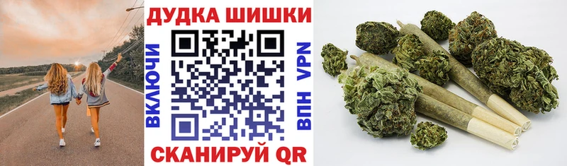 Купить где Злынка Конопля план